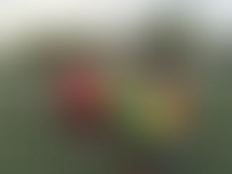 Les U12-U13 en préparation