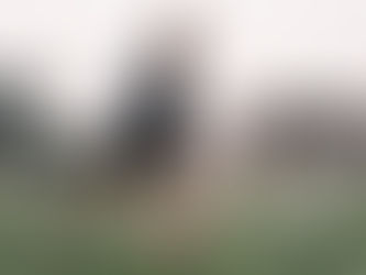 Les résultats du week-end (1 et 2 février)