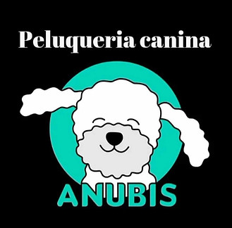 Peluquería Canina_Punta Lara Wix