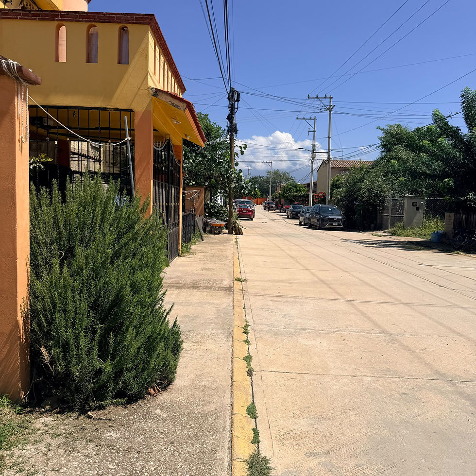 Casa Fracc Los Laureles Sta Cruz Xoxo Oax09