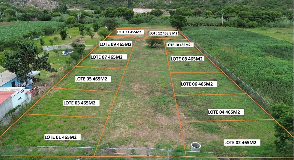 Propiedad 11 lotes en Tlalixtac
