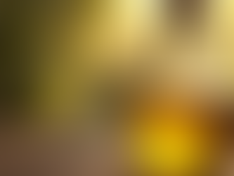 Exploring Nayyaimports Olive Oil Quality: A Deep Dive into Excellence