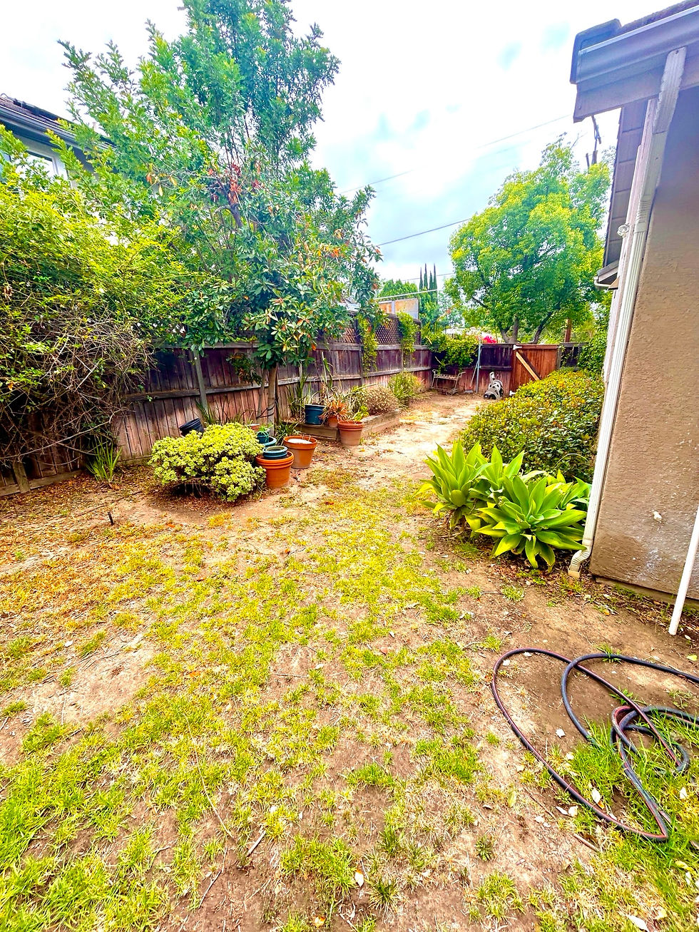Jorden House Backyard