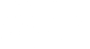 TEAMZ 3 logo white.png
