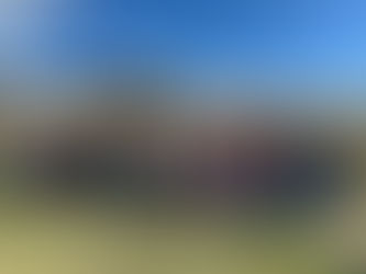 New Year, Growing Community, Endless Possibilities…