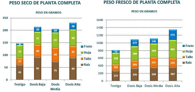 Pesos de Chiles