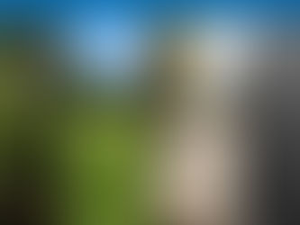 De onzichtbare hittekaart: Waarom groen onmisbaar is voor een koelere leefomgeving