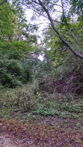 image44.jpeg