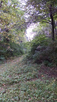 image46.jpeg