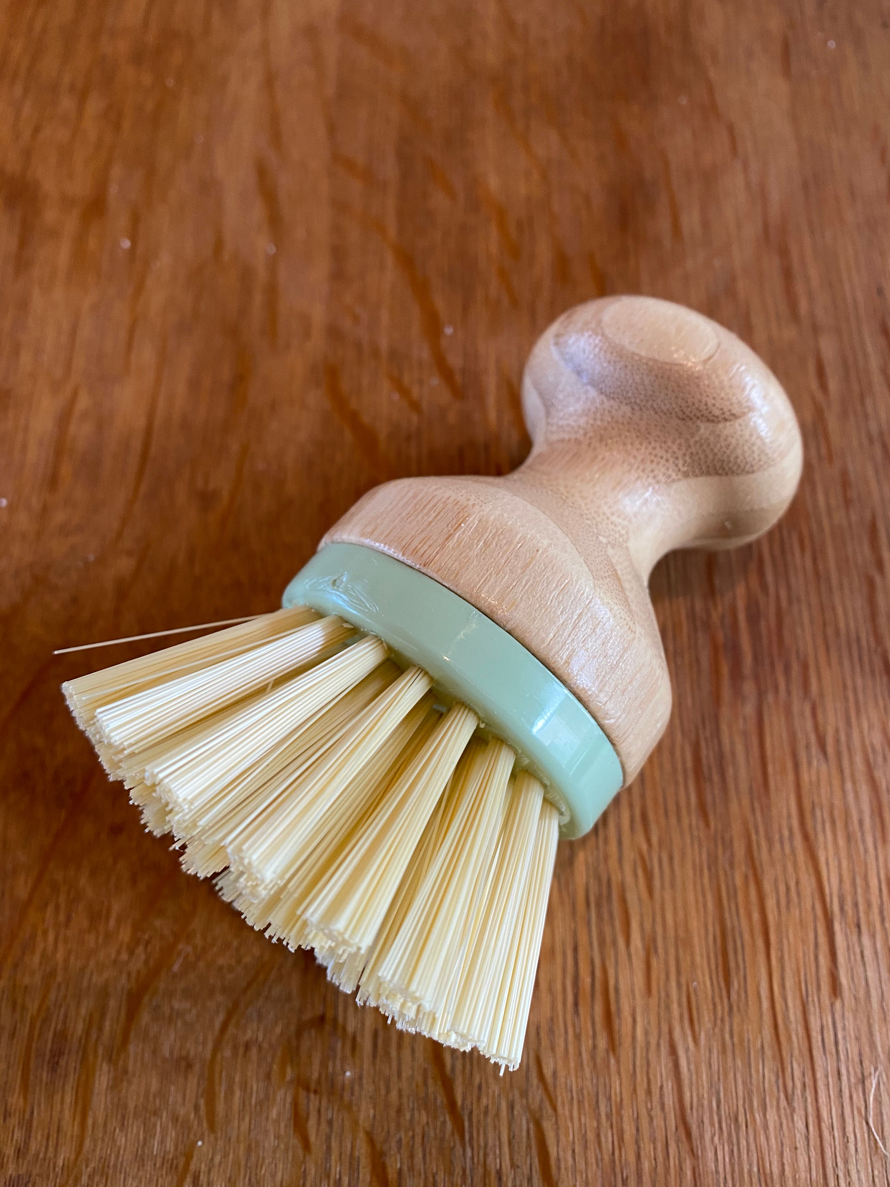 Dish Brush