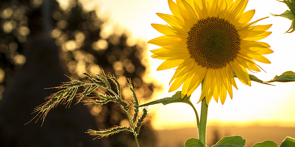 Five Tips For Managing Joint Pain In The Summer