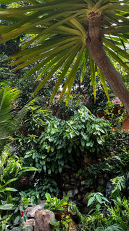 Garden at Green Papaya Beach Resort, Haad Salad Beach