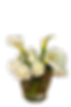 WhatsApp Image 2025-03-14 at 6_edited.png