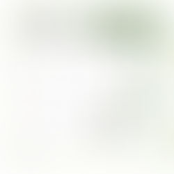 12月の診療日のご案内