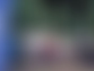 A Great Day at Scheepvaart Expo