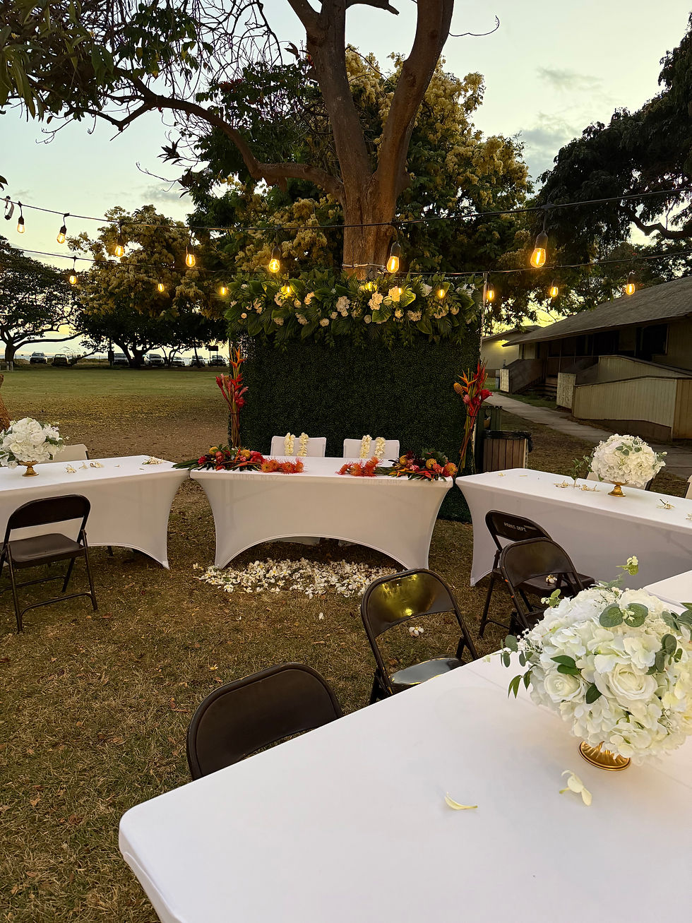 Wedding backdrop rentals