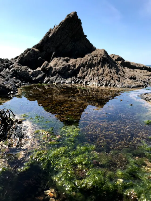 Teignmouth - Wellbeing walk