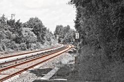 IMG_0011