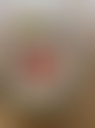 The Ultimate Protein & Fiber Bowl