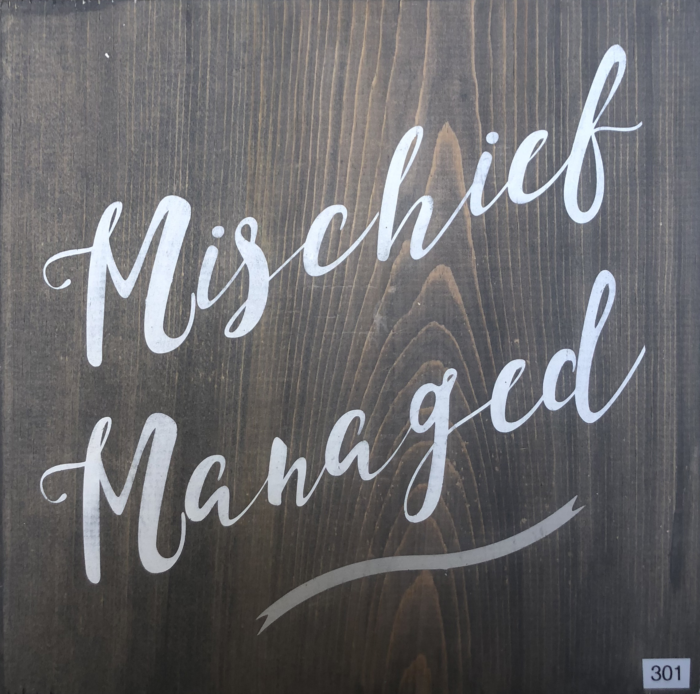 #301 Mischief Managed