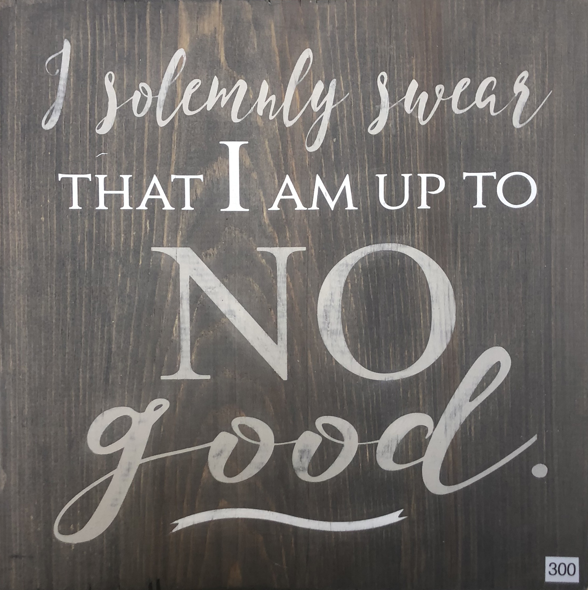 #300 Solemnly Swear
