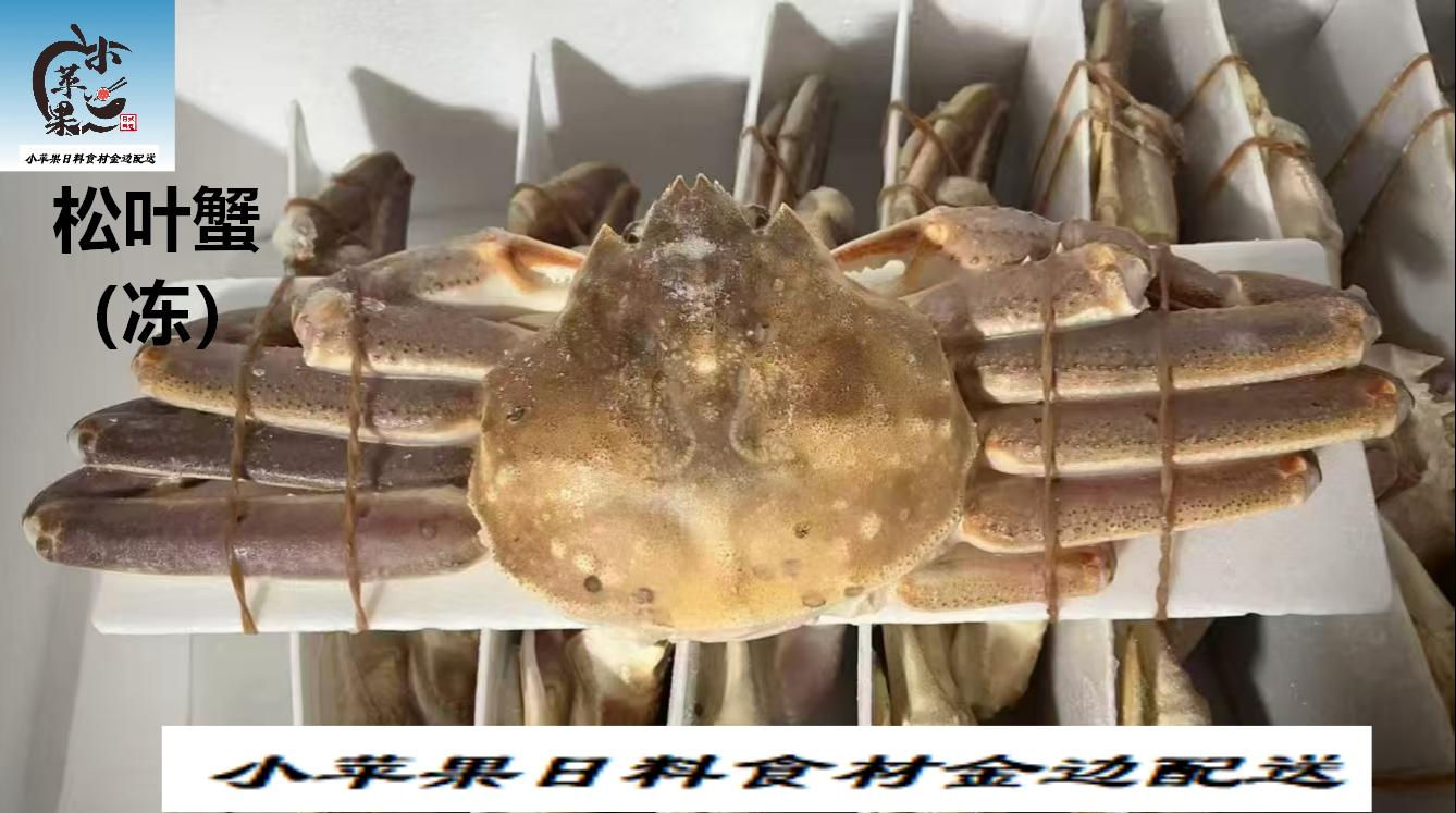 松叶蟹