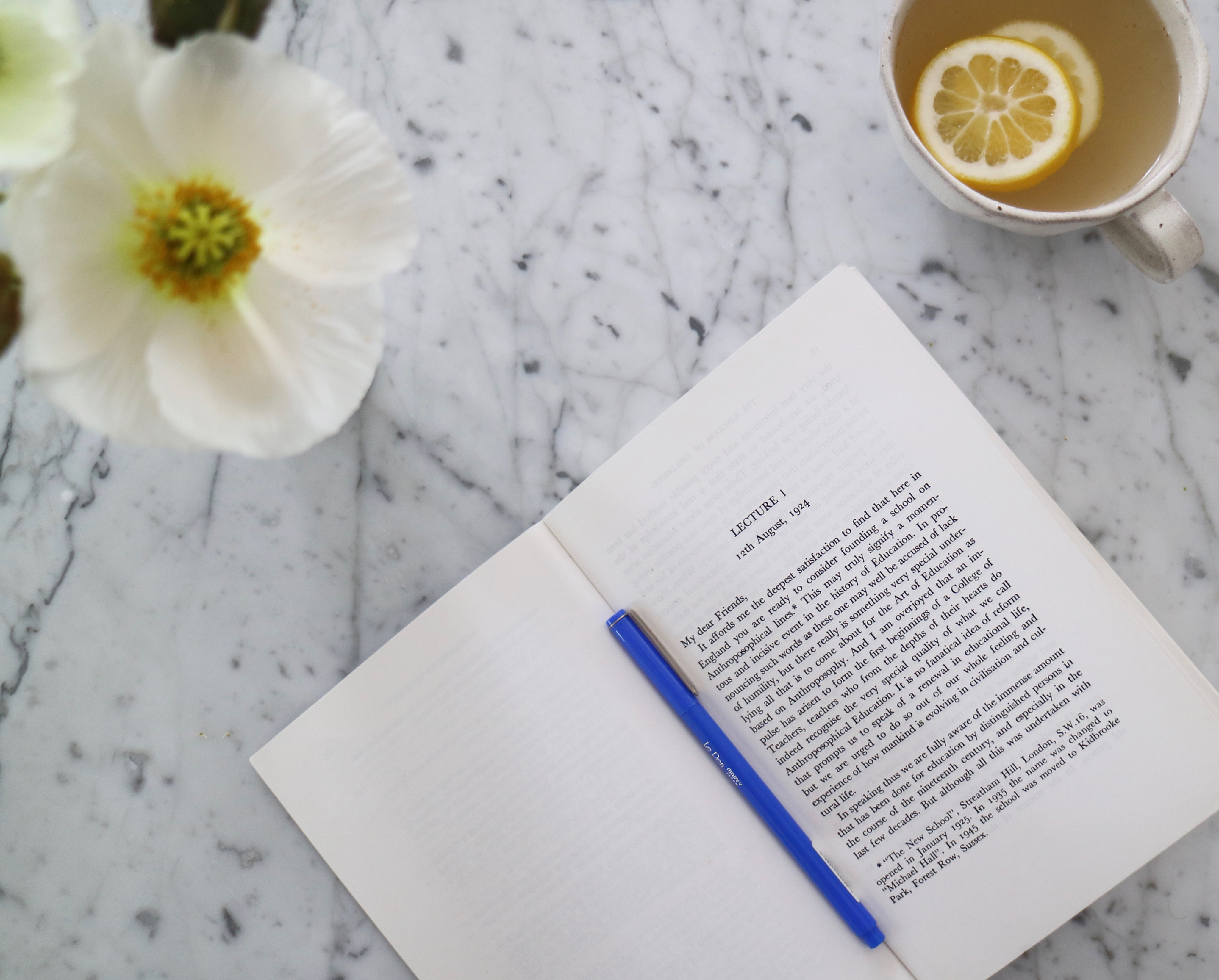 Karma and Reincarnation