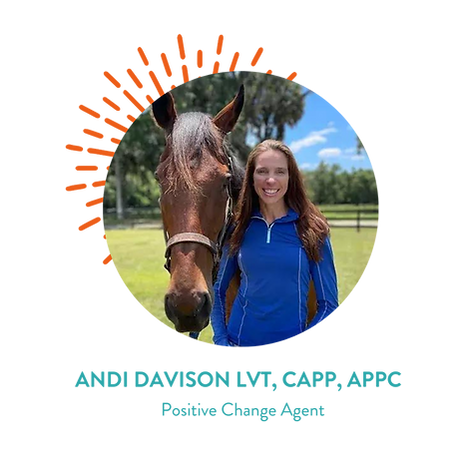 Headshot of Andi Davison, Flourish's Positive Change Agent and her credentials. Her credentials include LVT, CAPP, APPC.