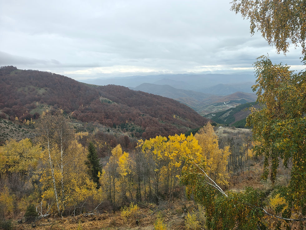 Thumbnail: Apartman, Kopaonik, namešten, 50m2