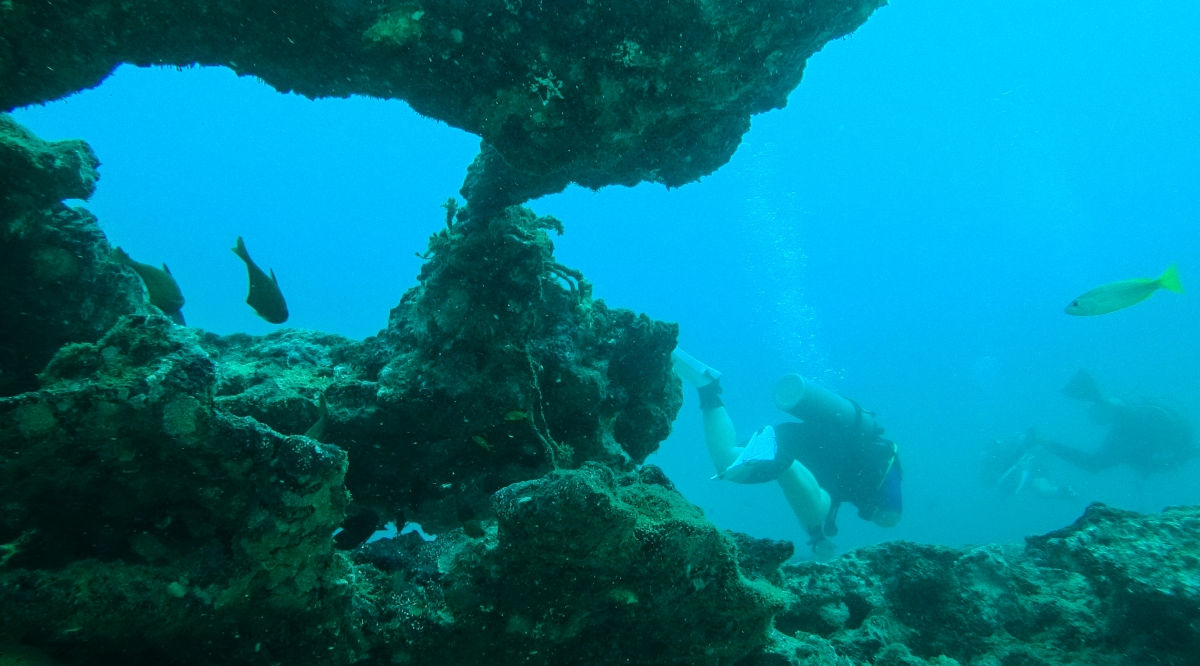Scuba Diving Kalpitiya Sri Lanka