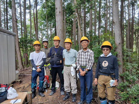 ８月１７日の作業