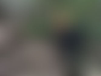 ５月１８日の作業