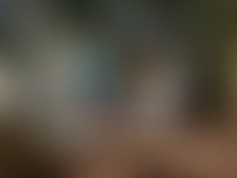 ９月２１日の作業