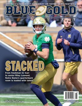 Blue and Gold illustrated