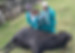 IMG-20231025-WA0109.jpg