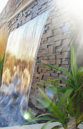 WhatsApp Image 2023-04-26 at 08.12.26.jpeg