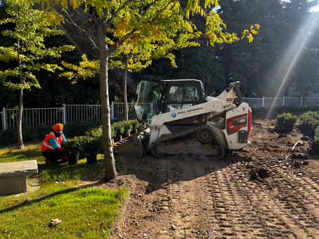 🌿 Project Spotlight: Beautifying the Temple Grounds 🌿