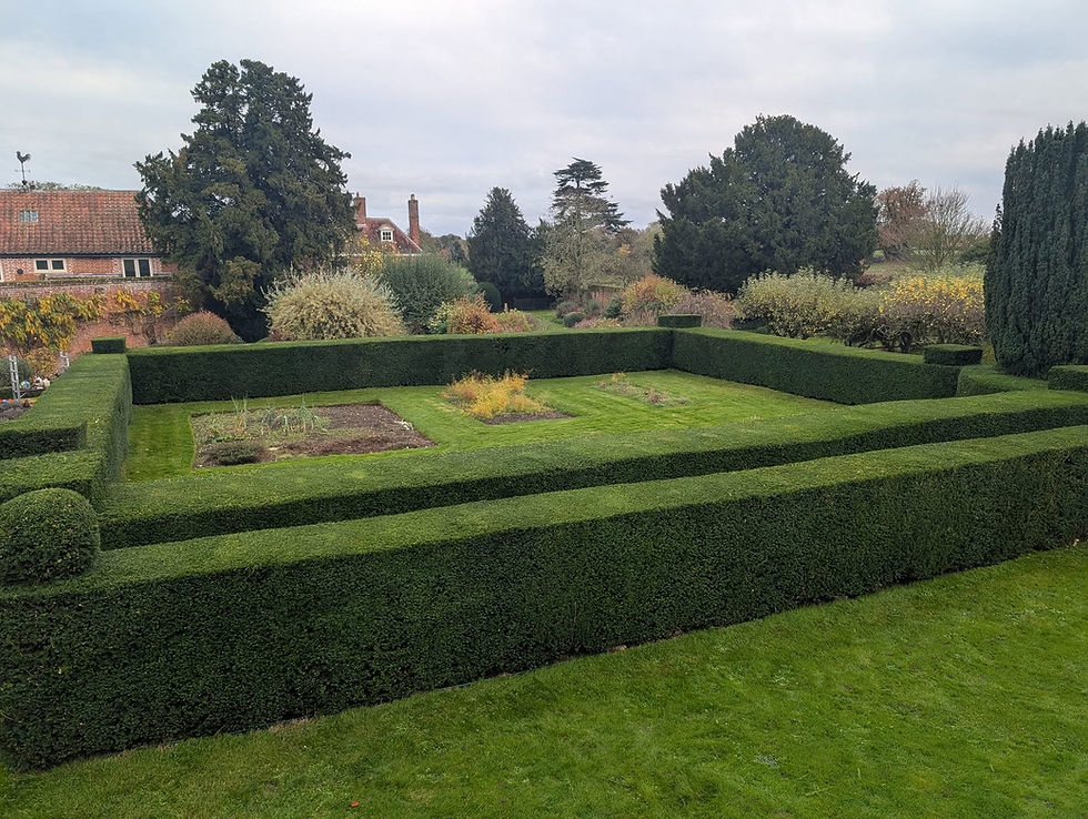 Garden Hedge