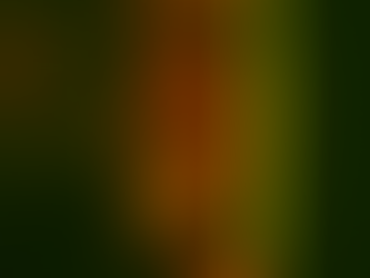 a closed door down a dark hallway