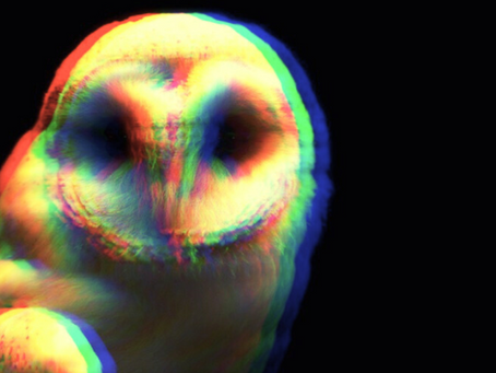 WATCHING FOURTH KIND, BEING AN IDIOT 