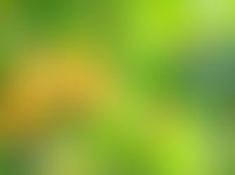 9月のOJT報告[入社から半年が経ちました]