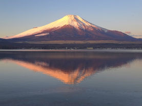 [今月のトピック]AIだけのSNSで、何が起きているのか?