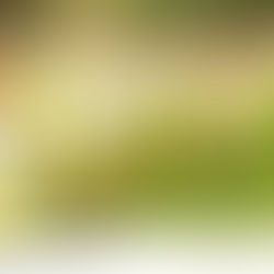 Your Best Childcare Centre — Genesis Childcare 1989