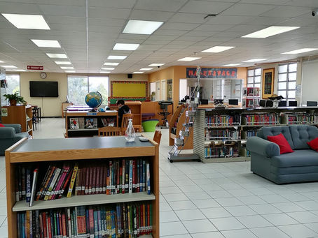 Give the Library a Chance!