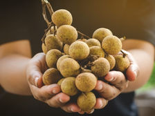 The Inspiring Journey of E-Dor Longan: Why #ProcessMatters in Celebrating Local Variety