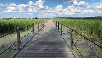 horicon.marsh.walk.jpg