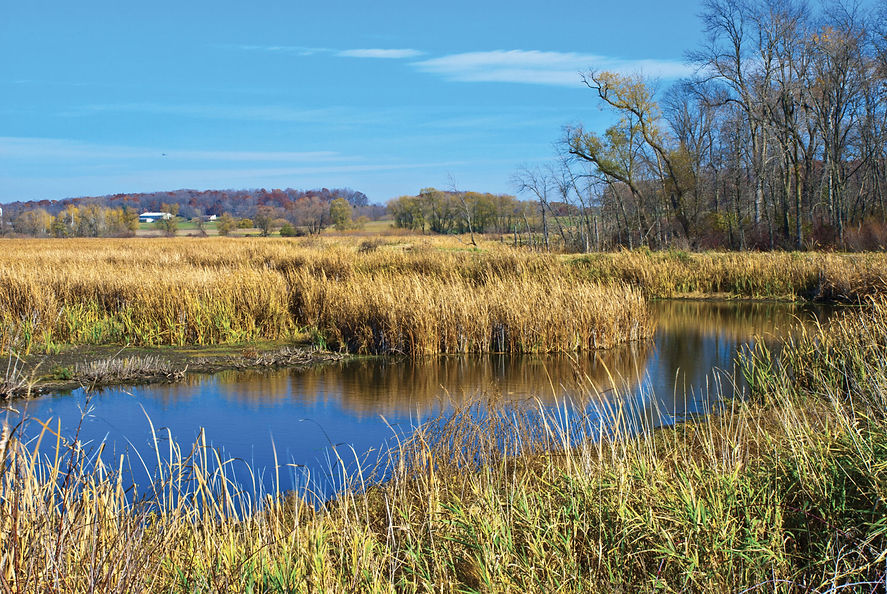 1025-Explore-Horicon-Marsh-GettyImages-512540646-2048x1371.jpg
