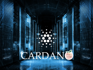 Cardano Stake Pool