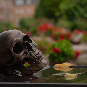 The Music Industry Death Clause 2024