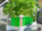 3D-Drucker-Vorlage Pflanzen